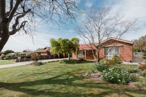 mulberry-front-garden-gj-low-res-2