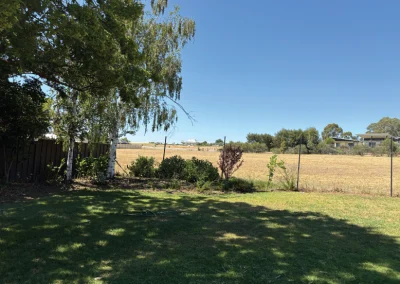 view of mulberry house backyard lawn