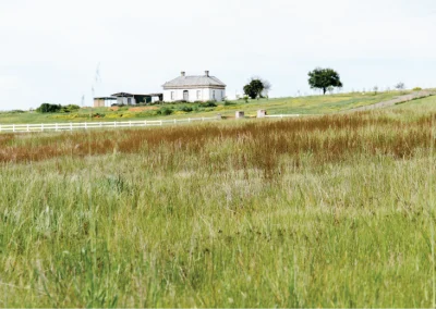 look out of grass with house in the didtant